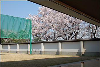 内間木公園弓道場-桜景（2009年4月6日）6