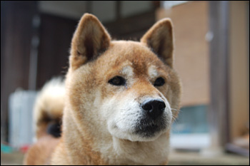 第四回有志合宿